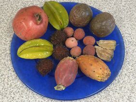 Eine Auswahl exotischer Früchte Eine Auswahl exotischer Früchte